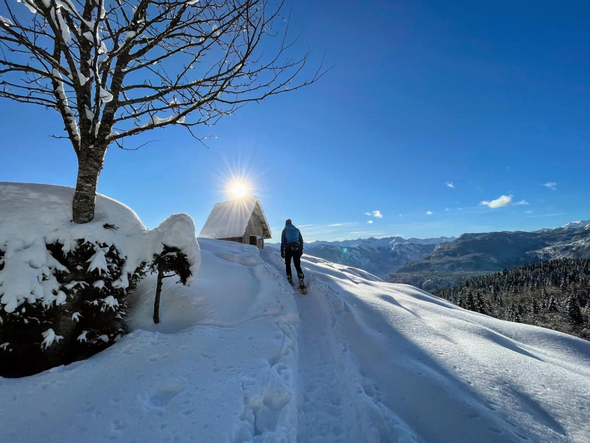 Chalet Hike&Bike Above Bohinj Valley Exterior photo